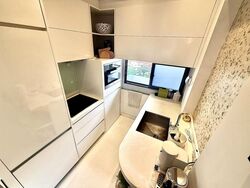 Onze @ Tanjong Pagar (D2), Apartment #503287211